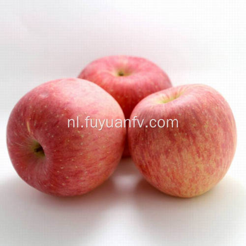 New Crop Fresh Goedkope Qinguan apple (64-198)